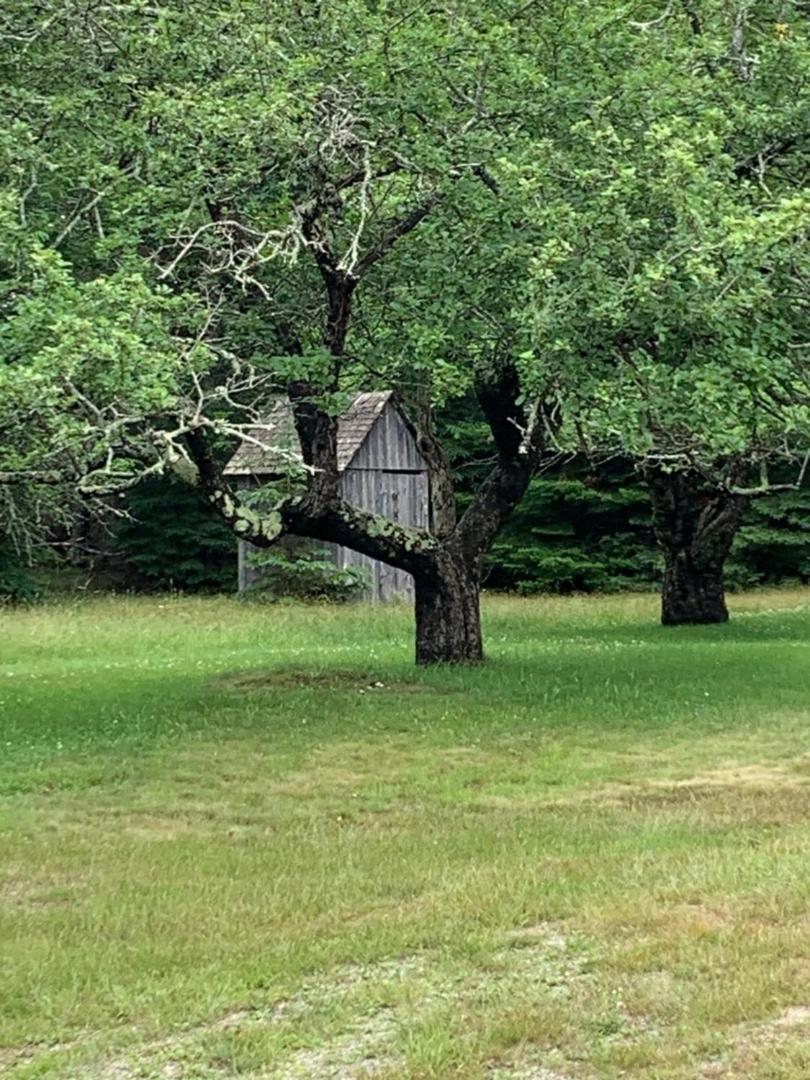 Вілла Meta Goldin Farmhouse - Meadow! Deer Isle Екстер'єр фото